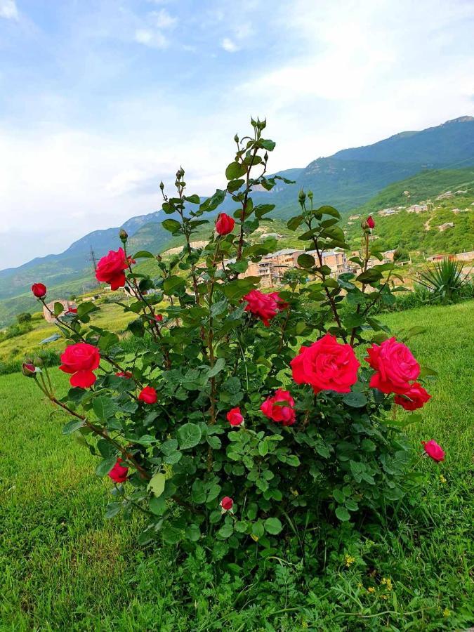 Guest House Ijevan'S Garden Экстерьер фото