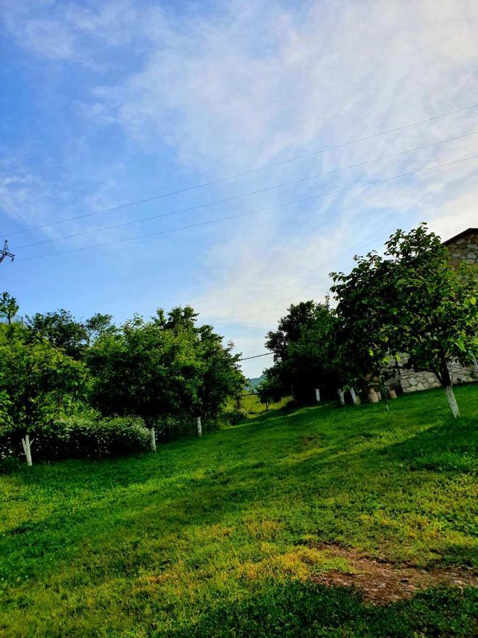 Guest House Ijevan'S Garden Экстерьер фото