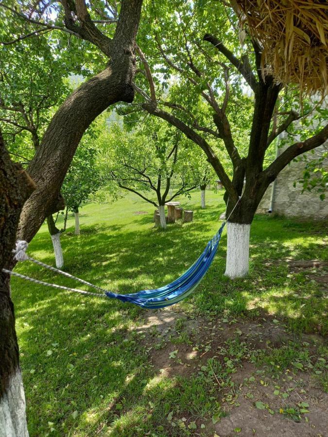 Guest House Ijevan'S Garden Экстерьер фото