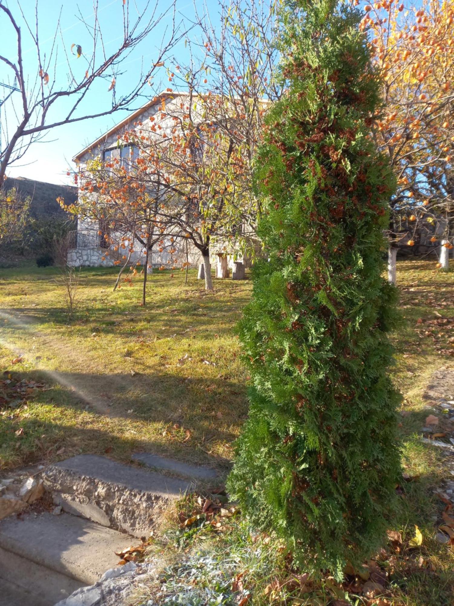 Guest House Ijevan'S Garden Экстерьер фото