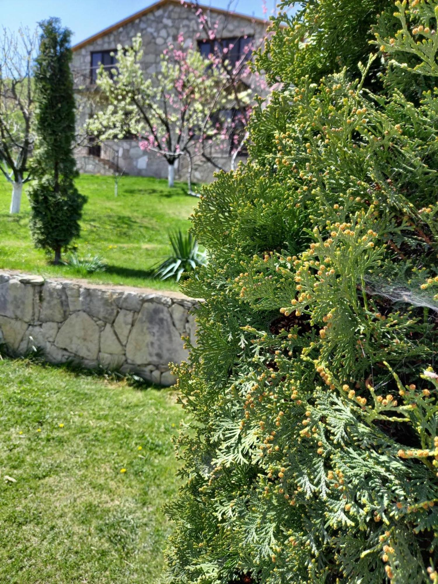 Guest House Ijevan'S Garden Экстерьер фото