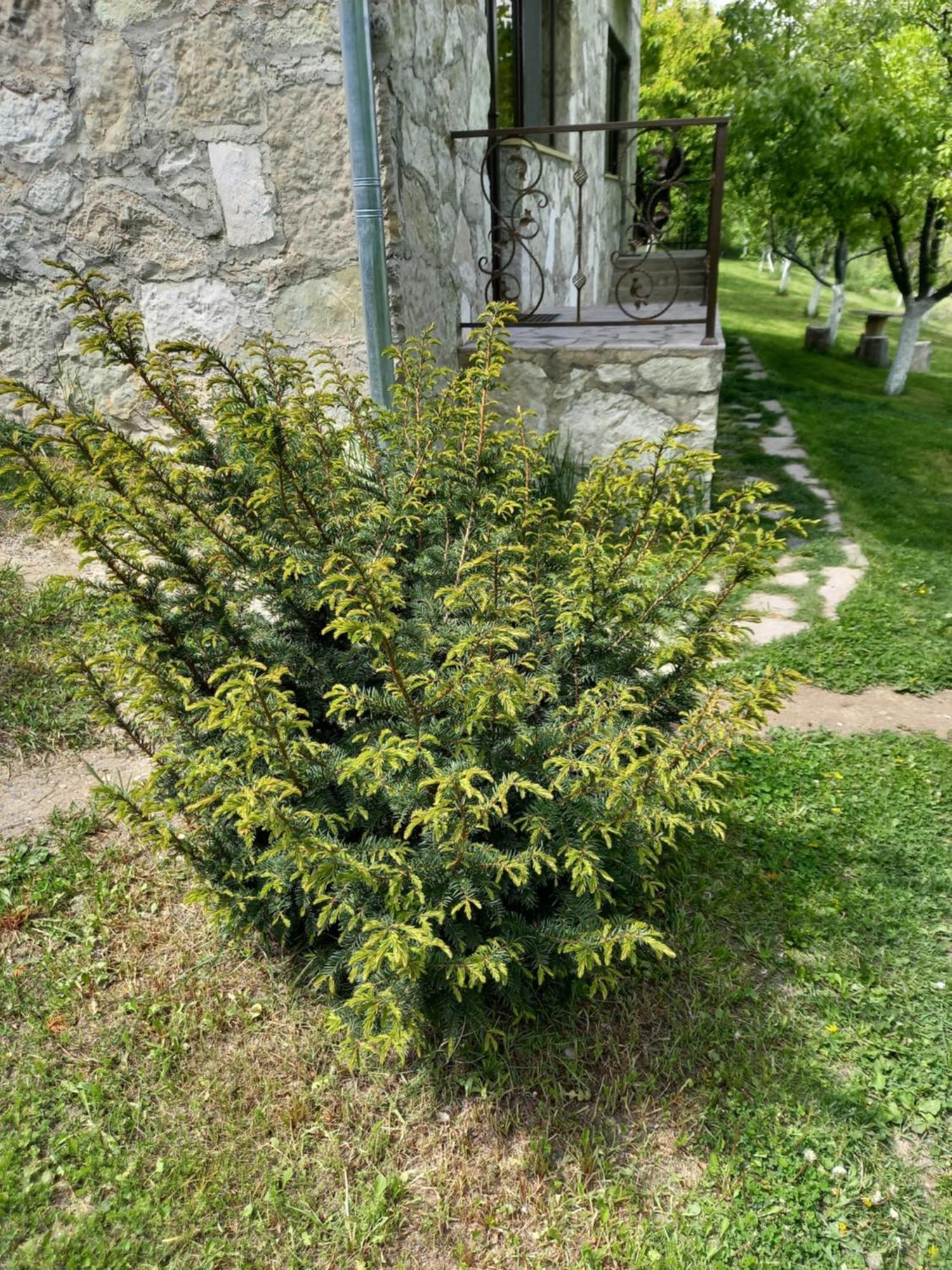Guest House Ijevan'S Garden Экстерьер фото