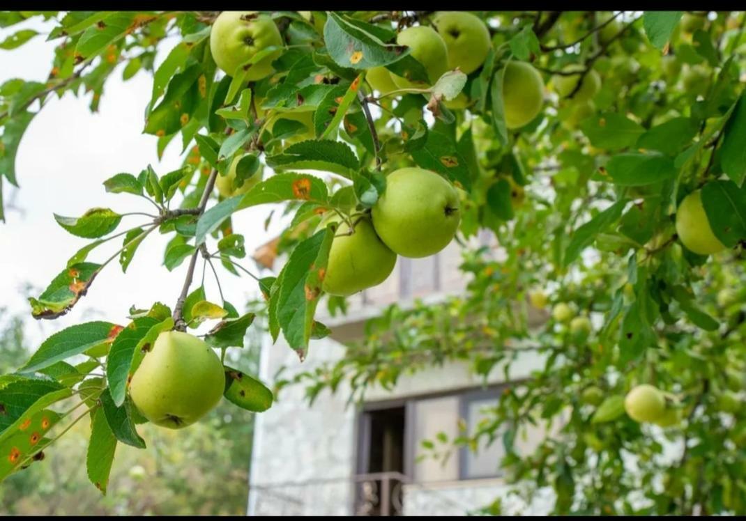 Guest House Ijevan'S Garden Экстерьер фото
