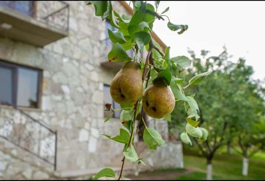 Guest House Ijevan'S Garden Экстерьер фото